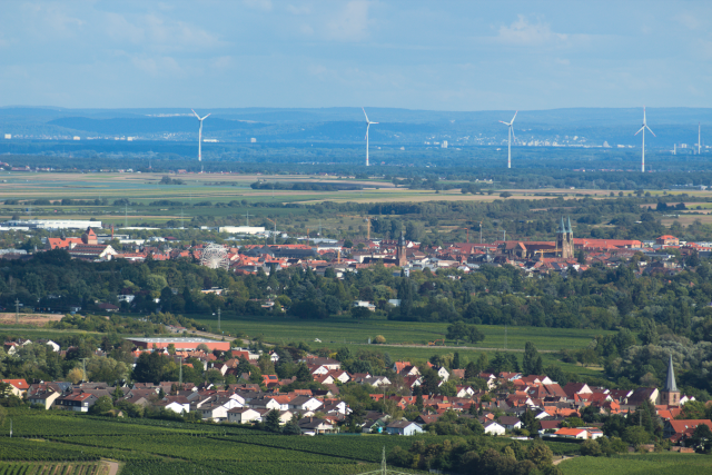 view over Landau and rhine valley