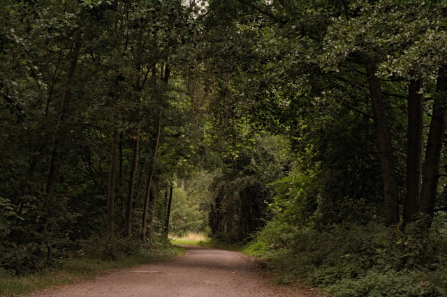 way in nature