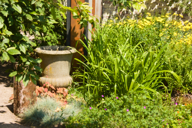 a corner in the garden