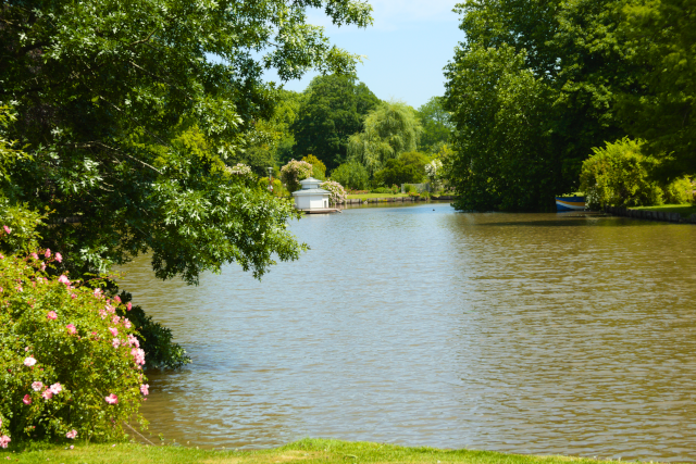 view over the lake
